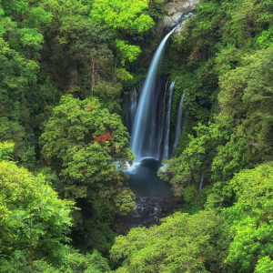 Tour Air Terjun Tiu Kelep